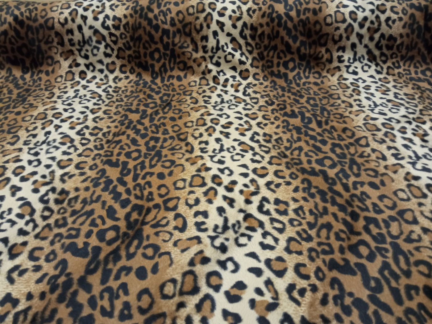 NERI c.9 leopardo